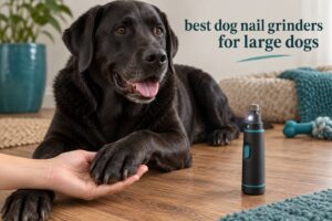 best dog nail grinders for large dogs